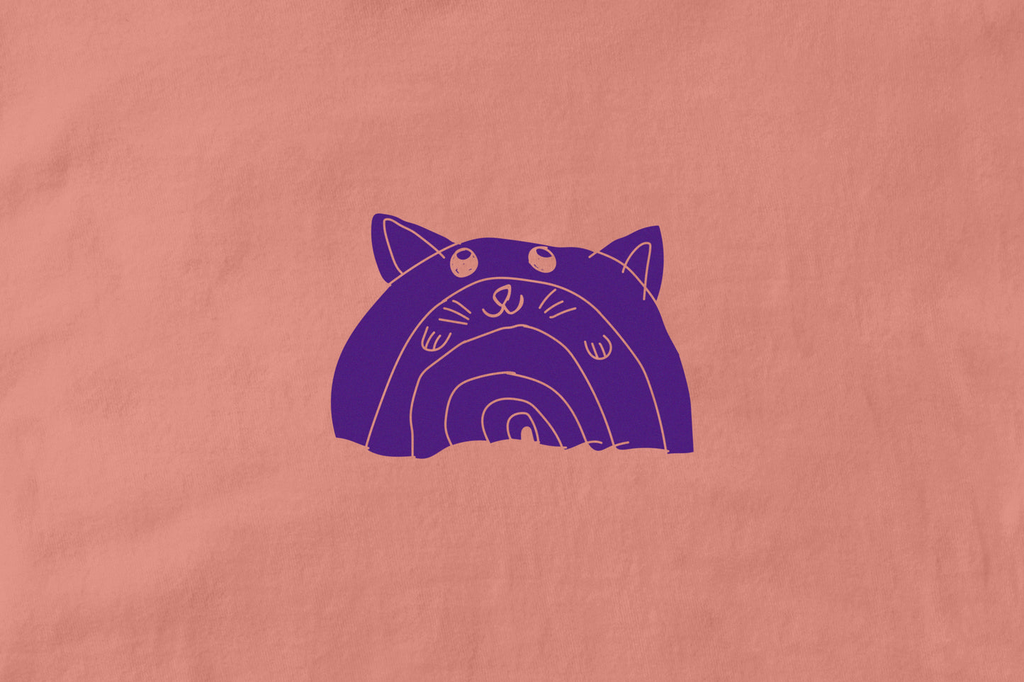 Rainbow Cat