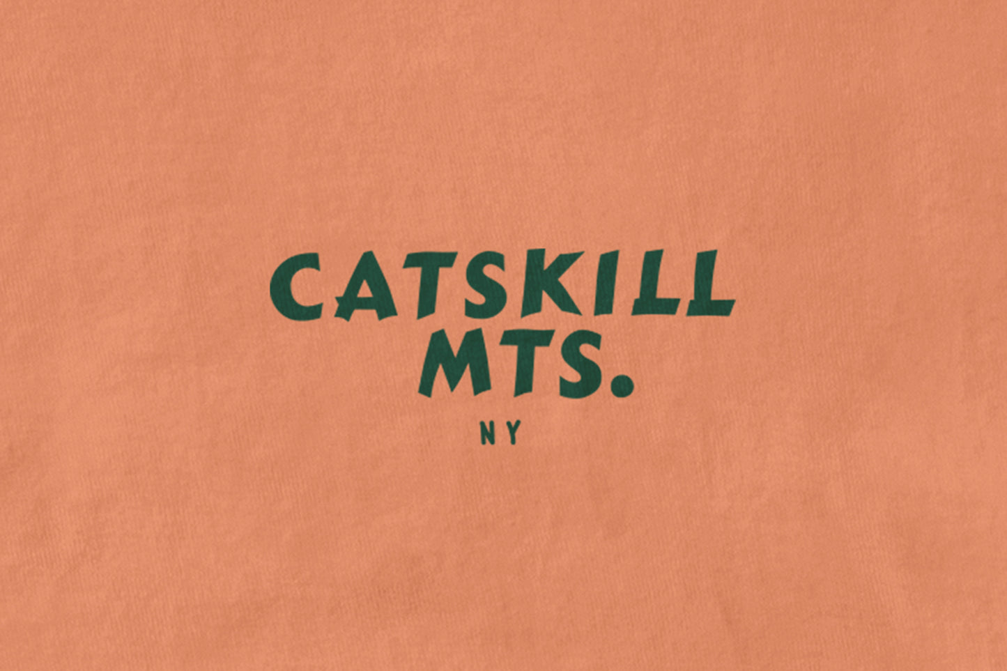 Catskill MTS